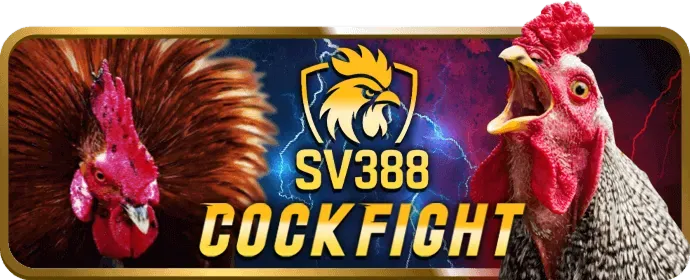 Thưởng đăng ký 555win ap